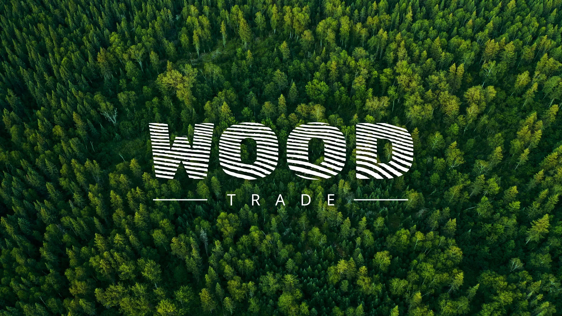 Разработка интернет-магазина компании «Wood Trade» в Нерехте